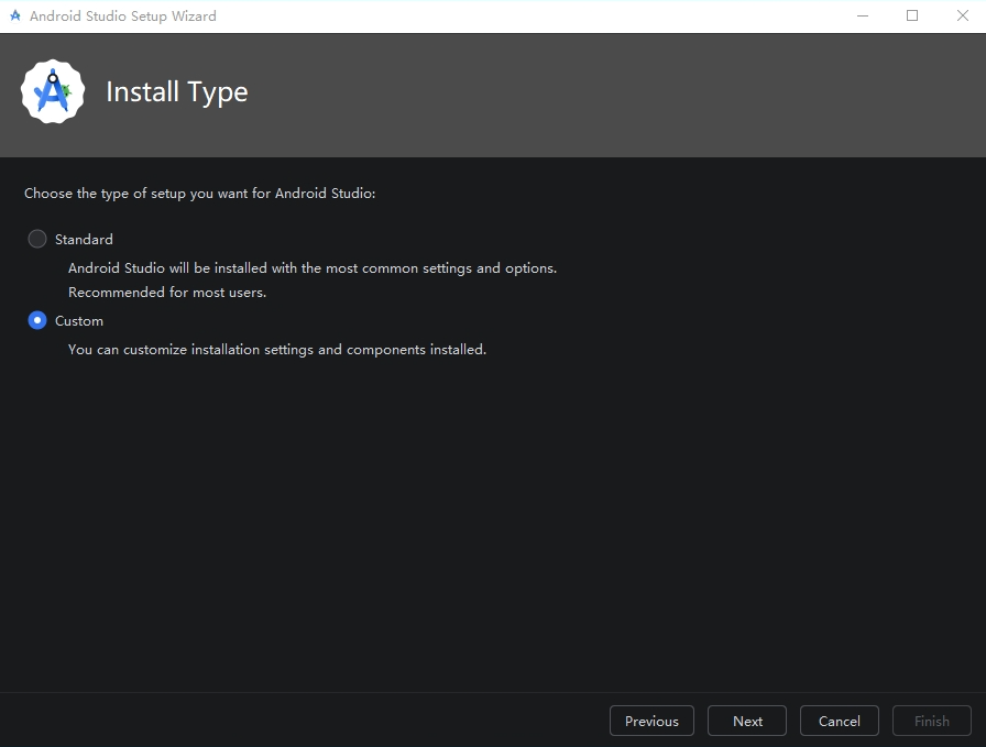 Setup Wizard 的 Install Type 页面，选中 Custom 安装类型